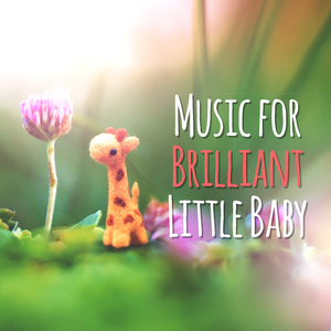 Piano Sonata No. 11 in B-Flat Major, Op. 22: II. Adagio