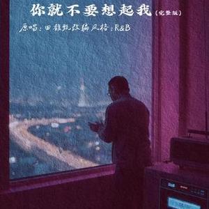 你就不要想起我 (R&B版)