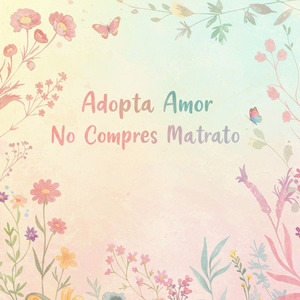 El Amor de Mi Vida Tiene Patas