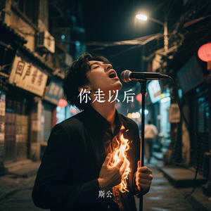 你走以后