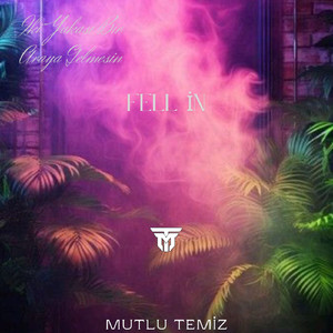 Fell İn ( İki Yakası Bir Araya Gelmesin Diyenler Varmış )