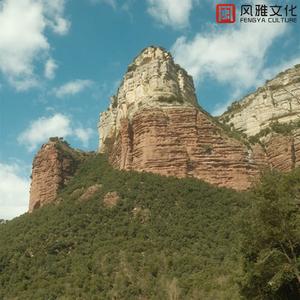 那条街巷的那家花店 -古筝