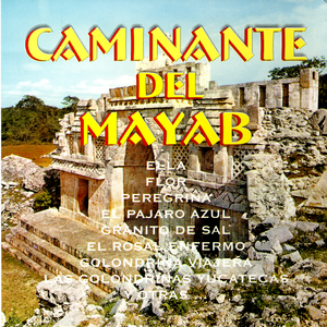 Semejanzas
