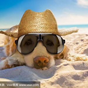 多爱我的过往 (28)