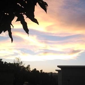 安和桥（Cover 宋冬野）