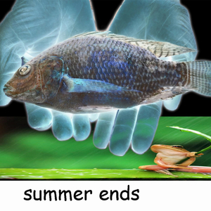 Summer Ends