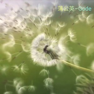 蒲公英DEMO