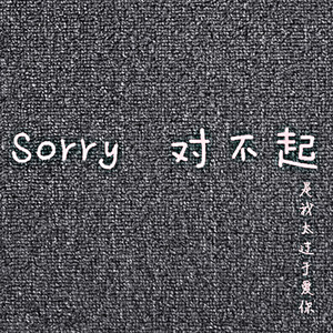 Sorry 对不起 (DJ.Gary龙少Mix)