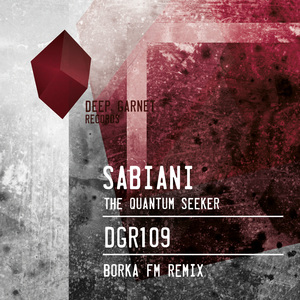 The Quantum Seeker (Borka FM remix)