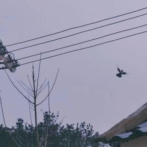 风月已老 生死难料