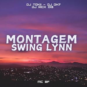 MONTAGEM - SWING LYNN (feat. DJ TOKII ORIGINAL & DJ RICK 013)