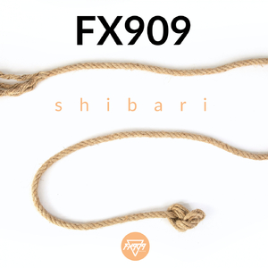 Shibari (Original Mix)