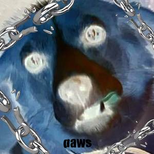 Paws