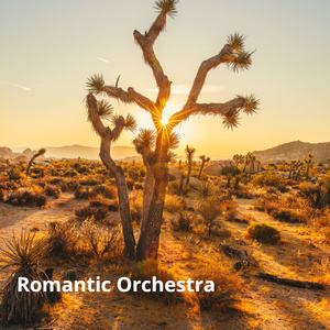 Romantic Orchestra