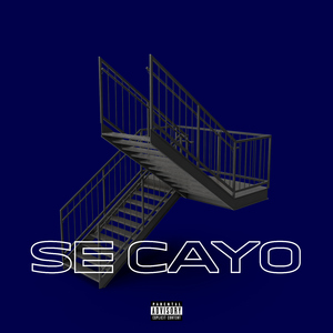 Se cayó