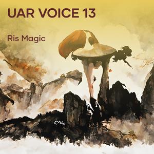 Uar Voice 13