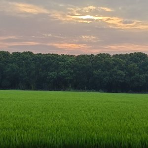 岁月笺_192khz_32bit.wav