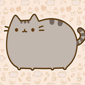 高考前请回答我