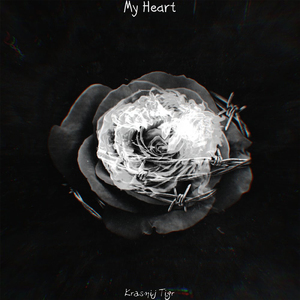 My Heart