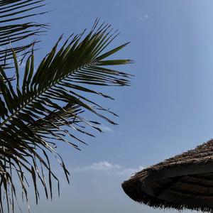 Señorita （AnaNg Remix）