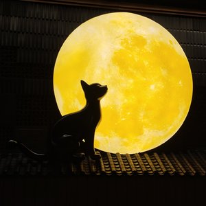 烟雨入江南.flac