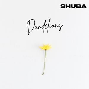 Dandelions