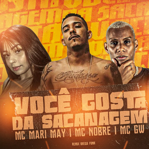 Você Gosta da Sacanagem (Remix Brega Funk)