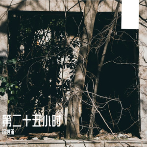 第二十五小时（demo）