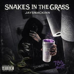 Snakes Inna Grass