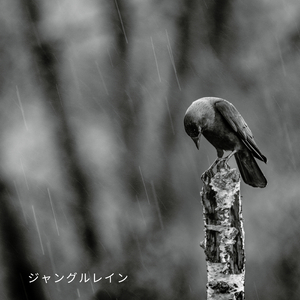 ジャングルレイン