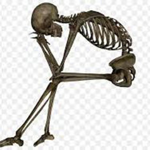 i'm not alex g, and ur not sarah