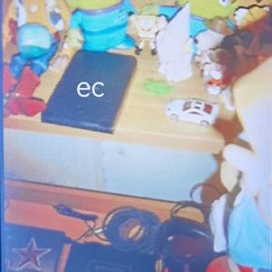 长鼻子人偶与向日葵白日梦