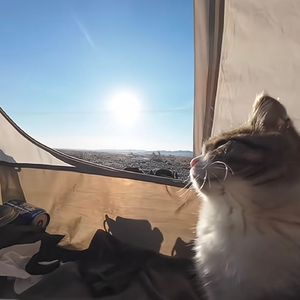 笔尖上的月光 （伴奏版）