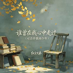 谁曾在我心中走过（可否许我再少年）