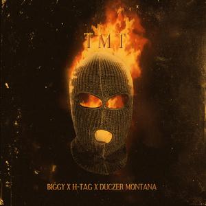 TMT (feat. H-TAG, Duczer Montana & Biggy)
