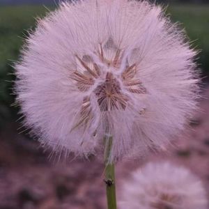 学生我想给你写一首歌-伴奏