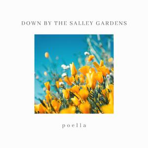 Down by the Salley Gardens (Cello Version) (Cello Version)