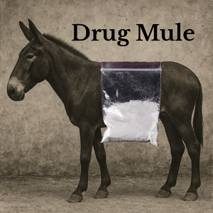 Drug Mule