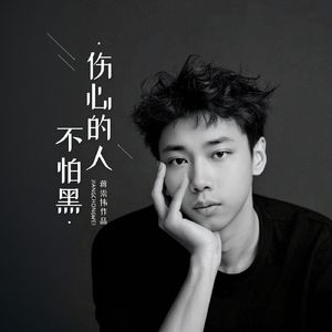 伤心的人不怕黑(DJ版)