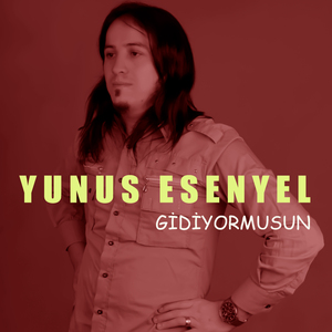 Gidiyormusun