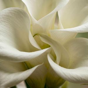 The Architecture of Yes