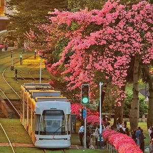 【Free beat】“冬日暖阳”