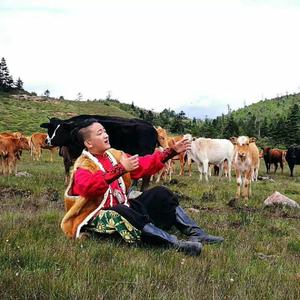 玉龙雪山的牧童