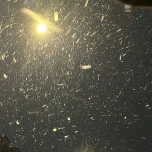 无声的告别