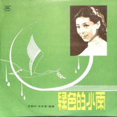 家乡有棵相思柳