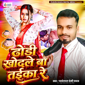 Dhodi Khodle Ba Taika Re