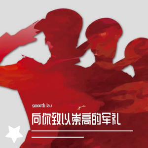 向你致以崇高的军礼