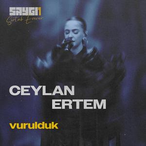Vurulduk (SAYGI1)