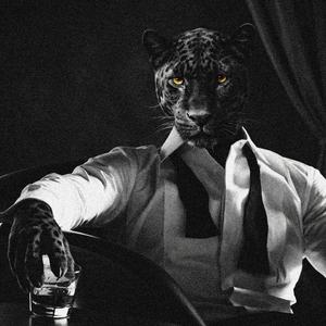 Never Show Your Hand