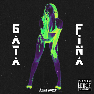 Gata Fina